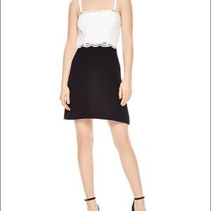 Sandro Gorka Two Tone Lace Dress